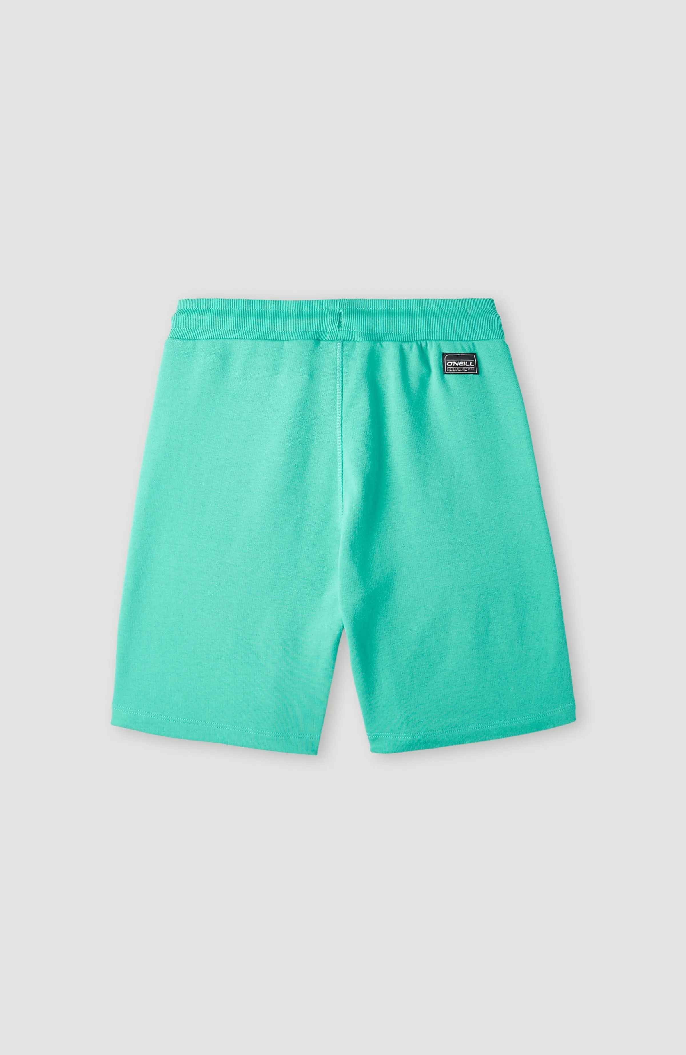 O'Neill Sweatshorts | Sea Green