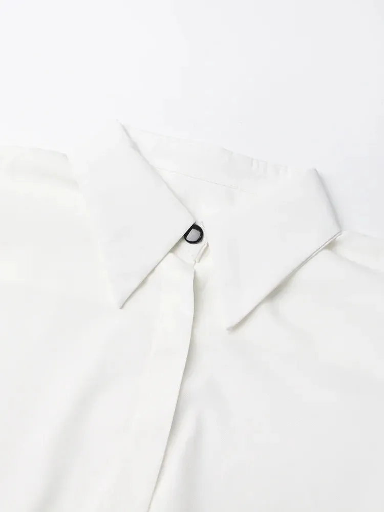 Pre Order:  Contrast Accordion Lantern Sleeves Shirt